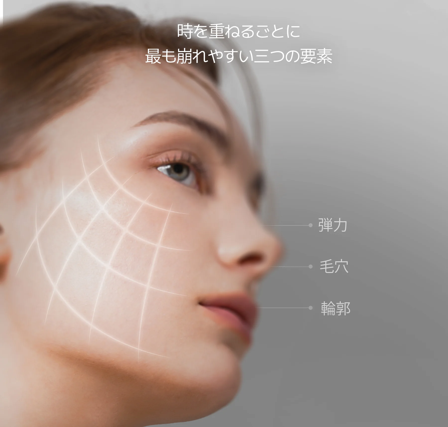 女性の顔のアップ、肌の弾力、毛穴、輪郭を示す図解入り