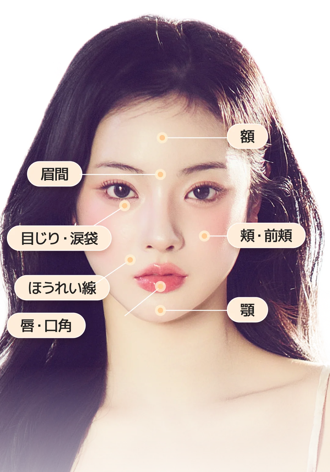顔の各部位をラベルで示した、ヒアルロン酸フィラーのイメージ。