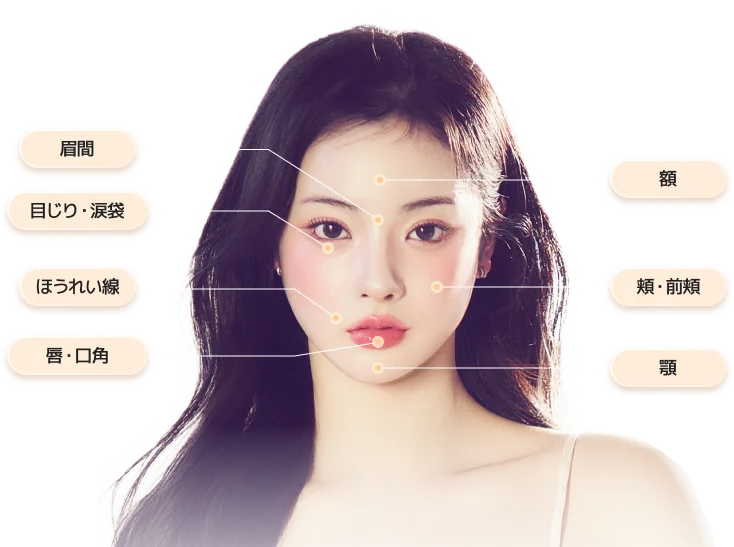 顔の各部位にラベルが付いた女性の顔の図。