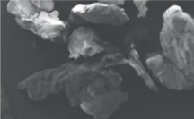 電子顕微鏡で見た、不定形の粒子の拡大図