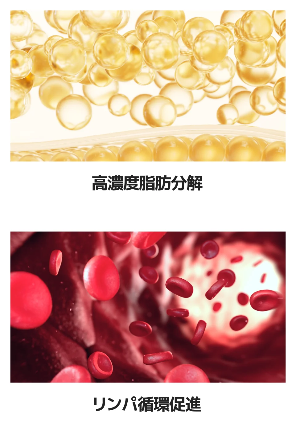 高濃度脂肪分解とリンパ循環促進のイメージ図。