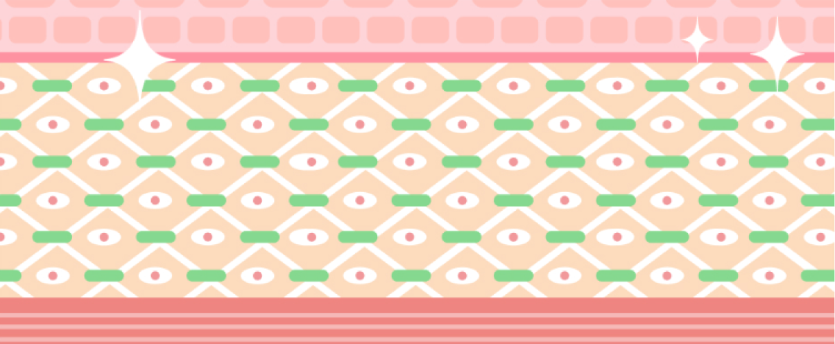 肌の断面図のイラスト、格子状の構造と輝きがある